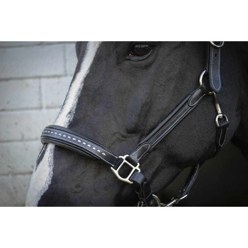 PENELOPE Point Sellier Leather Halter - Black -Anatomical