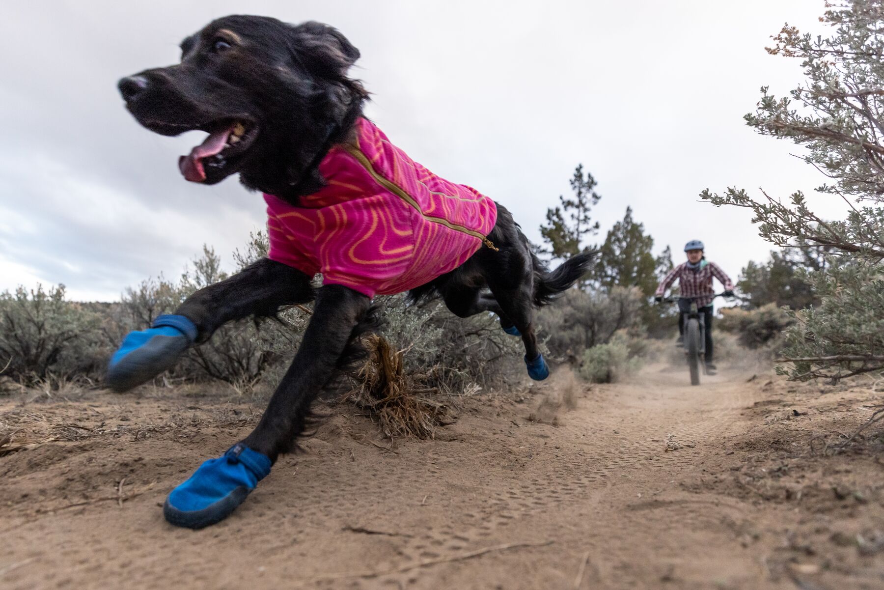 Ruffwear Hi & Light™ Trail Shoes  - River Rock Green 