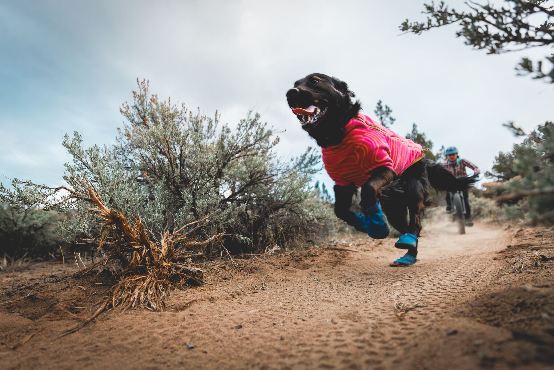Ruffwear Hi & Light™ Trail Shoes  - River Rock Green 