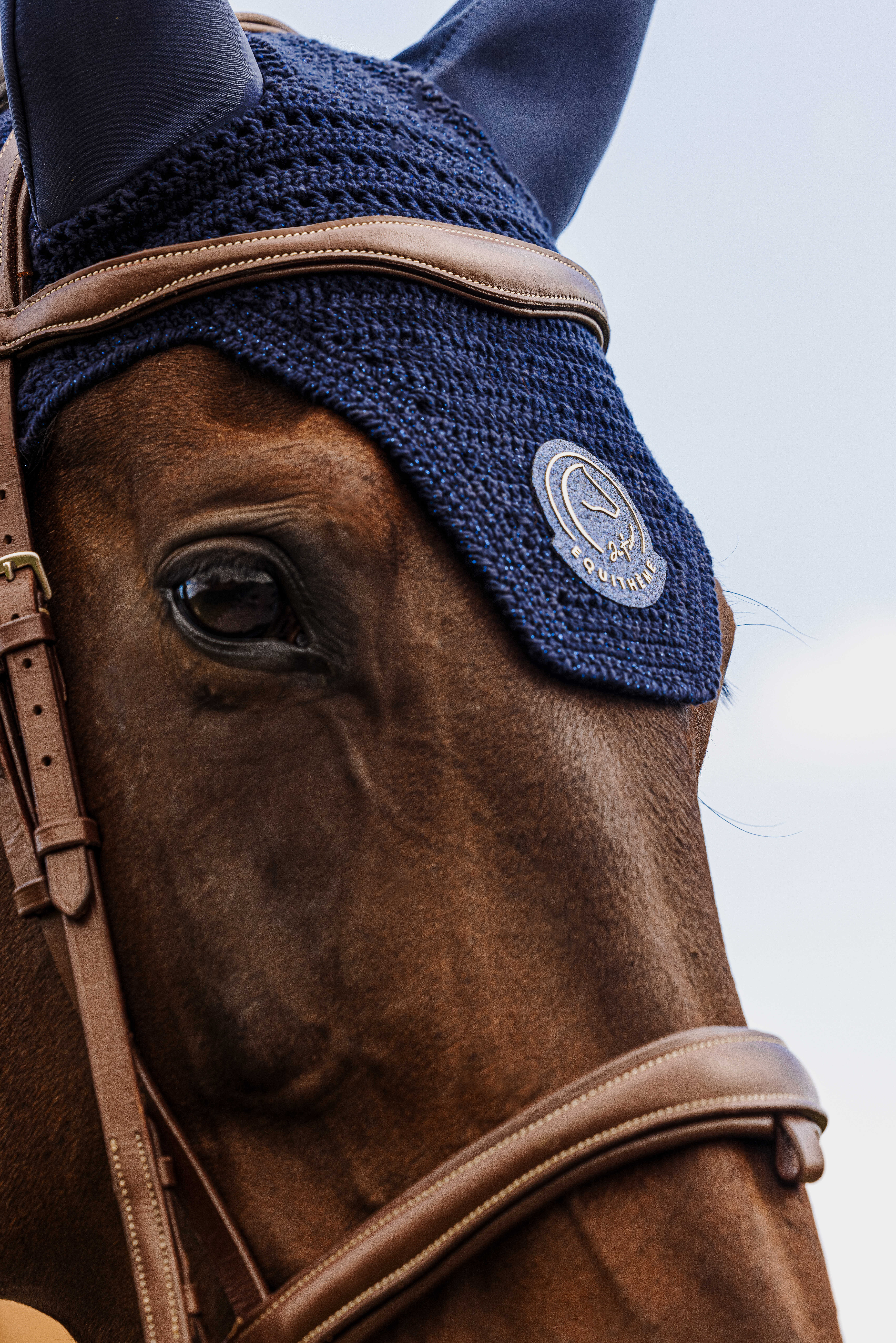 Equitheme Je T'aime Compet Fly Veil Navy blue - 3