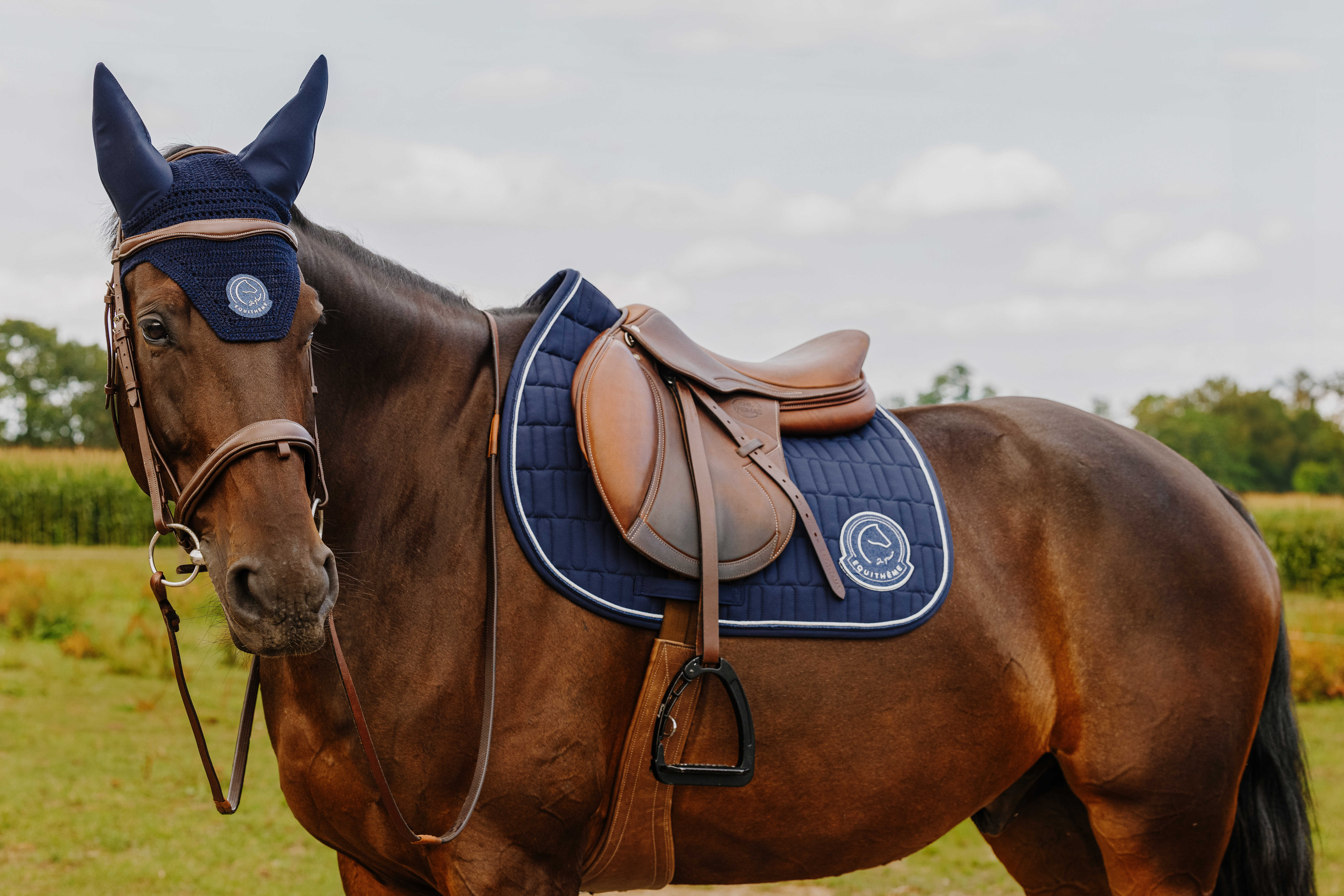 Equitheme Je T'aime Compet Fly Veil Navy blue - 4