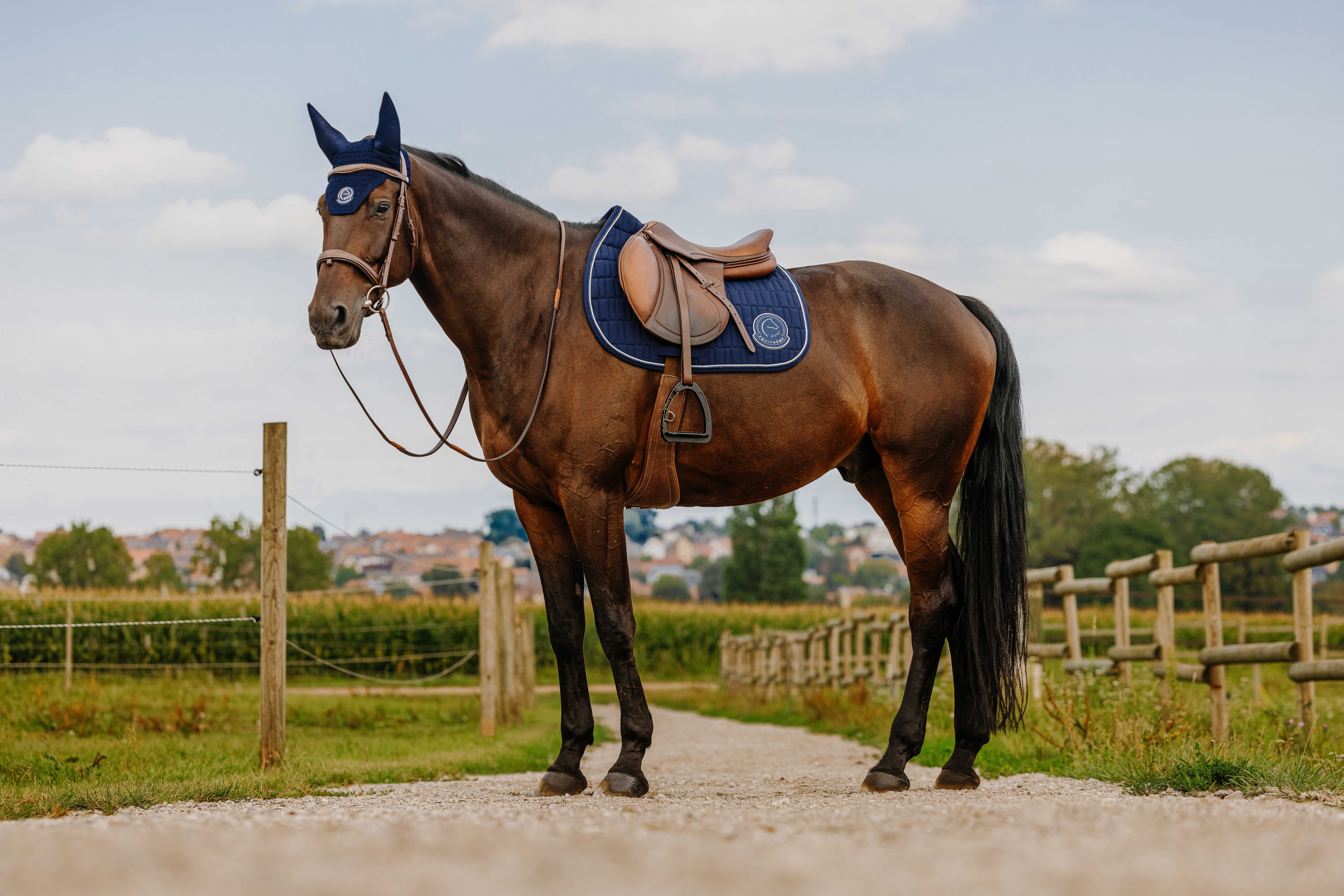Equitheme Je T'aime Compet Saddle Pad Blue - 4
