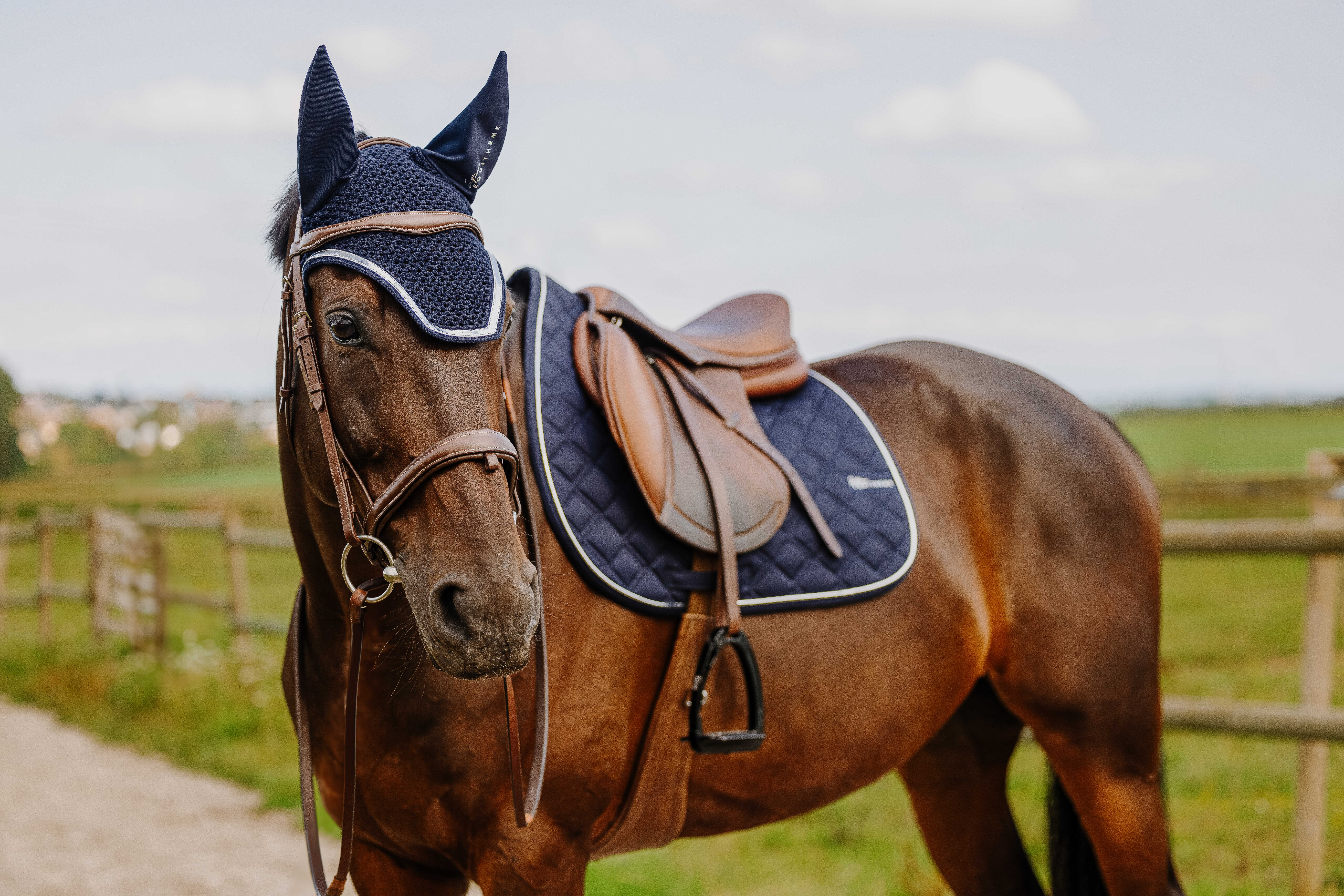 Equitheme Je T'aime Mirror Fly Veil Navy blue - 3
