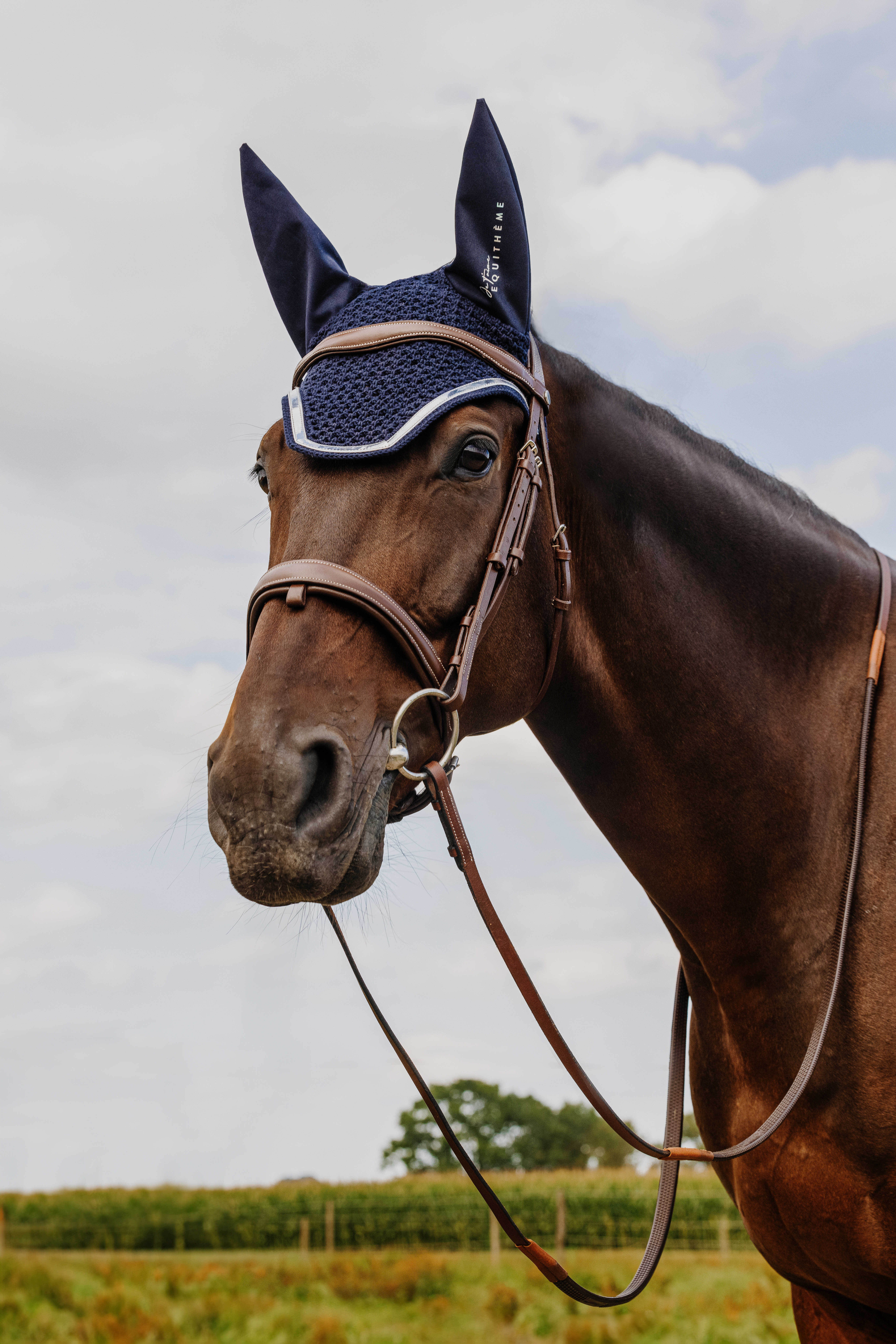 Equitheme Je T'aime Mirror Fly Veil Navy blue - 2