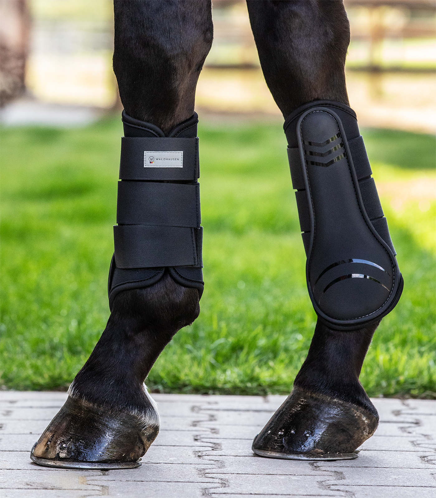 Waldhausen Basic Plus Tendon Boots black - 2