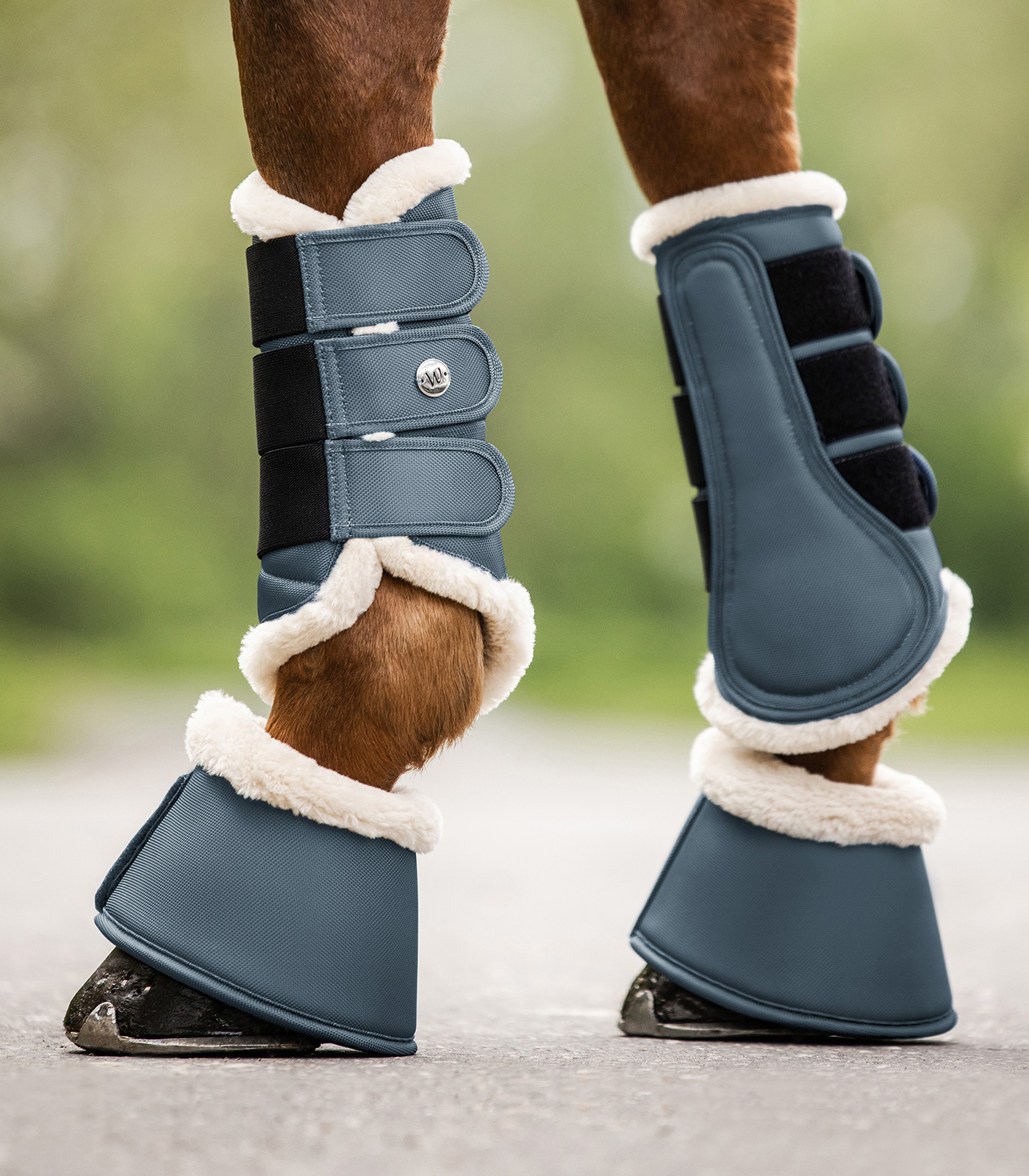 Waldhausen Pegasus Dressyrdamasker kritblå - 4
