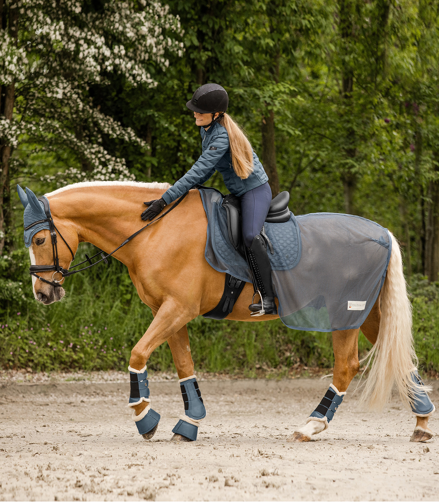 Waldhausen Pegasus Dressyrdamasker kritblå - 5