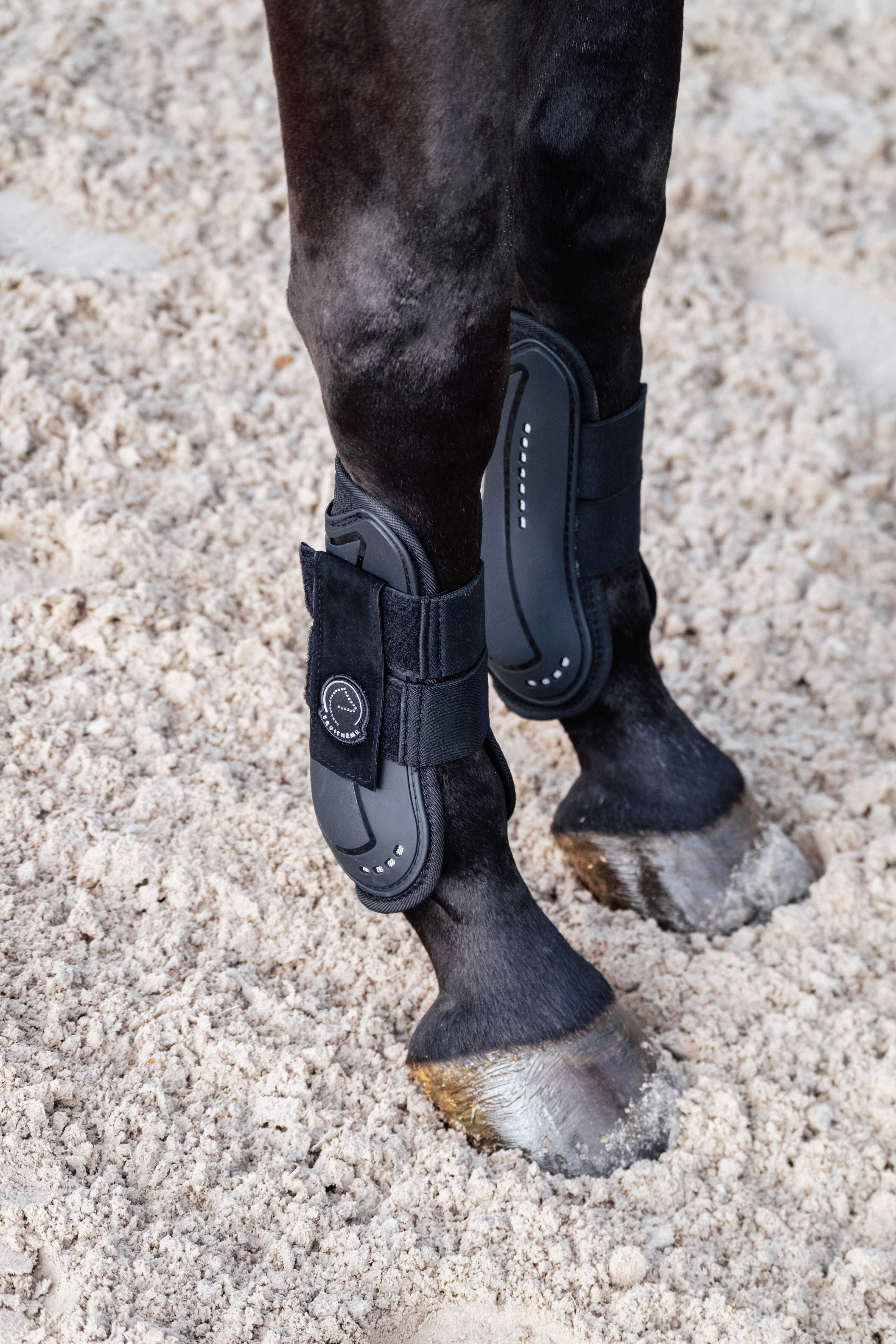 Equitheme Je T'aime Set with Tendon Boots & Fetlock Boots Black - 2