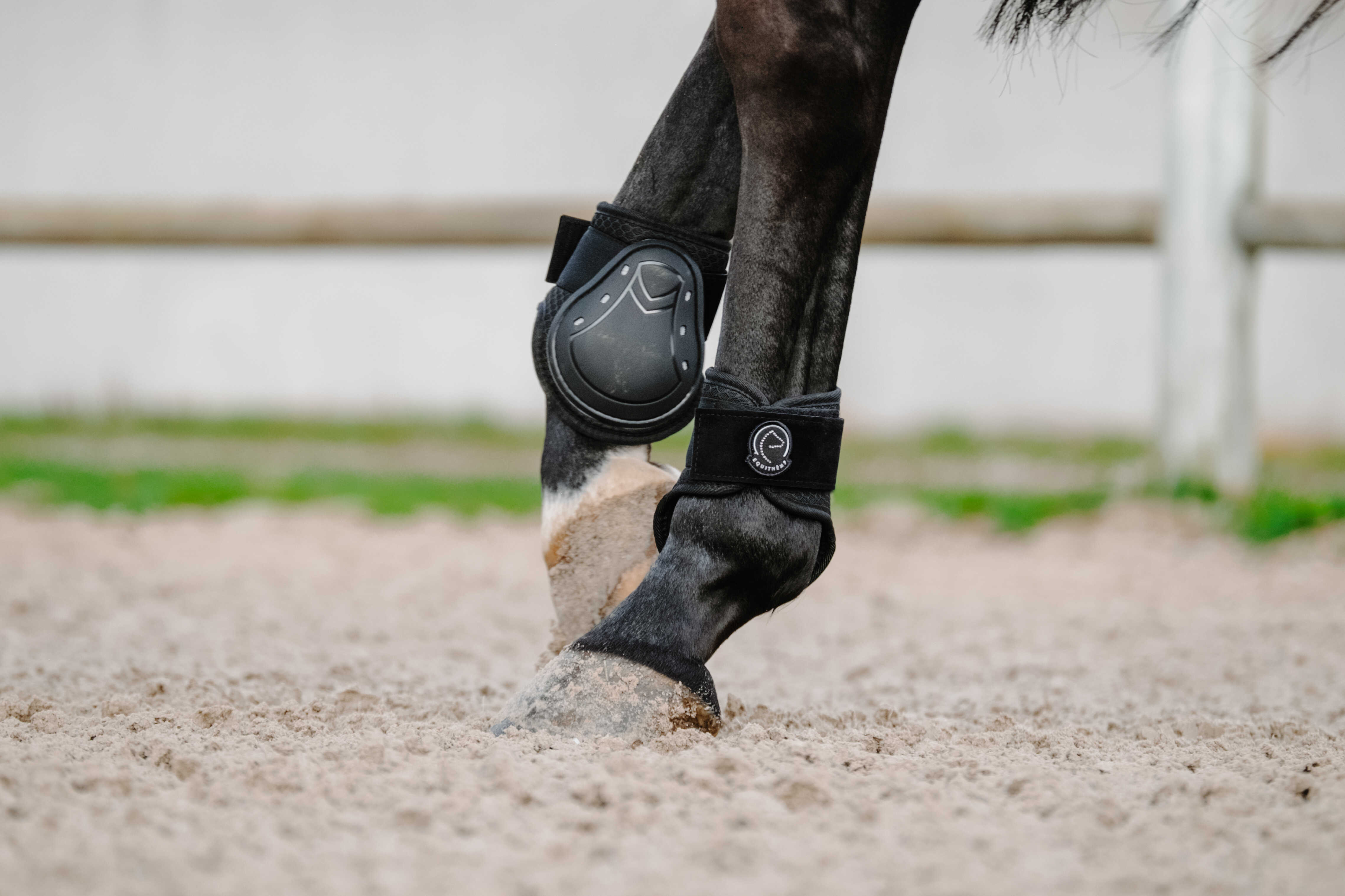 Equitheme Je Taime Set med Senskydd & Kotskydd Svart - 10