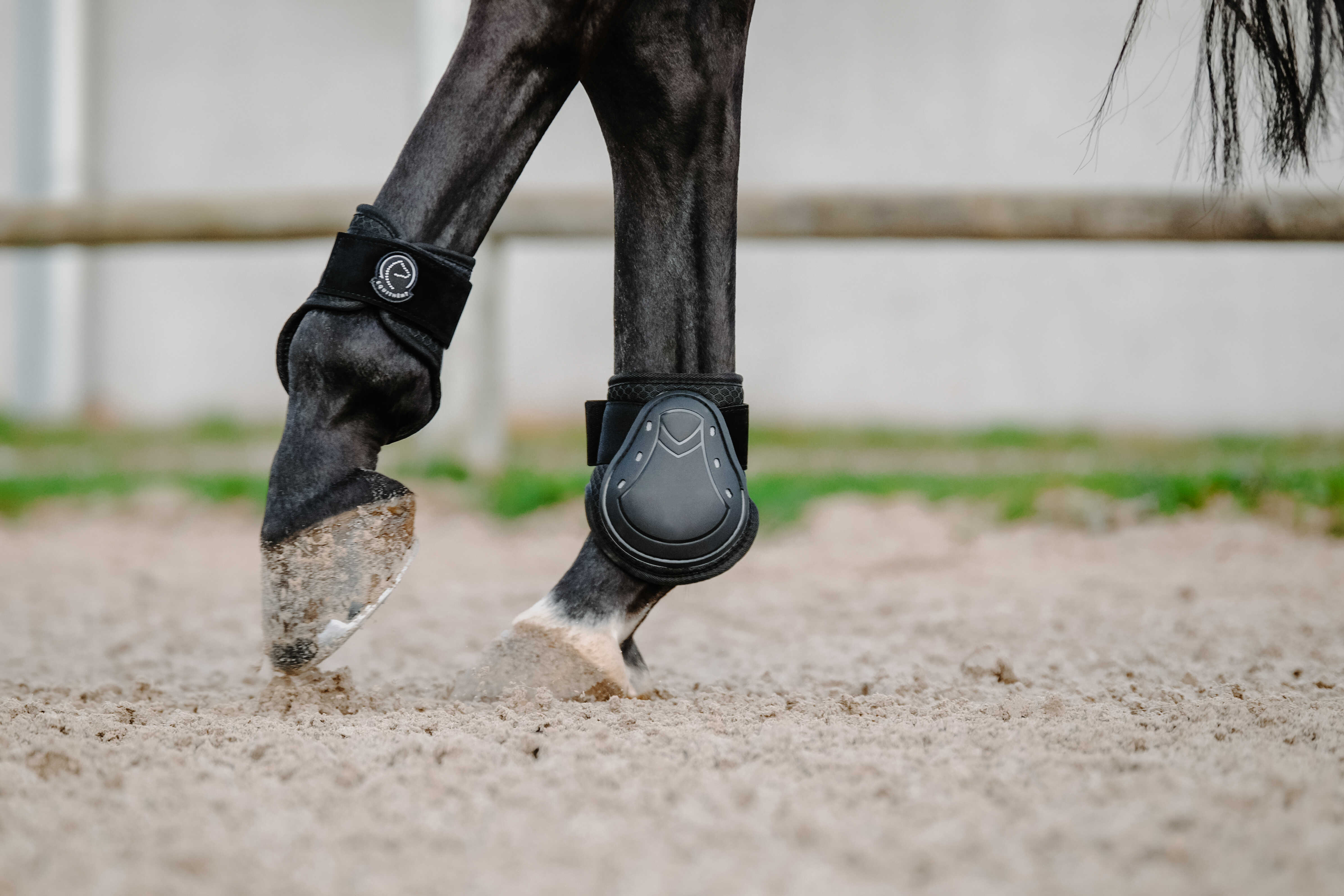 Equitheme Je T'aime Set with Tendon Boots & Fetlock Boots Black - 9