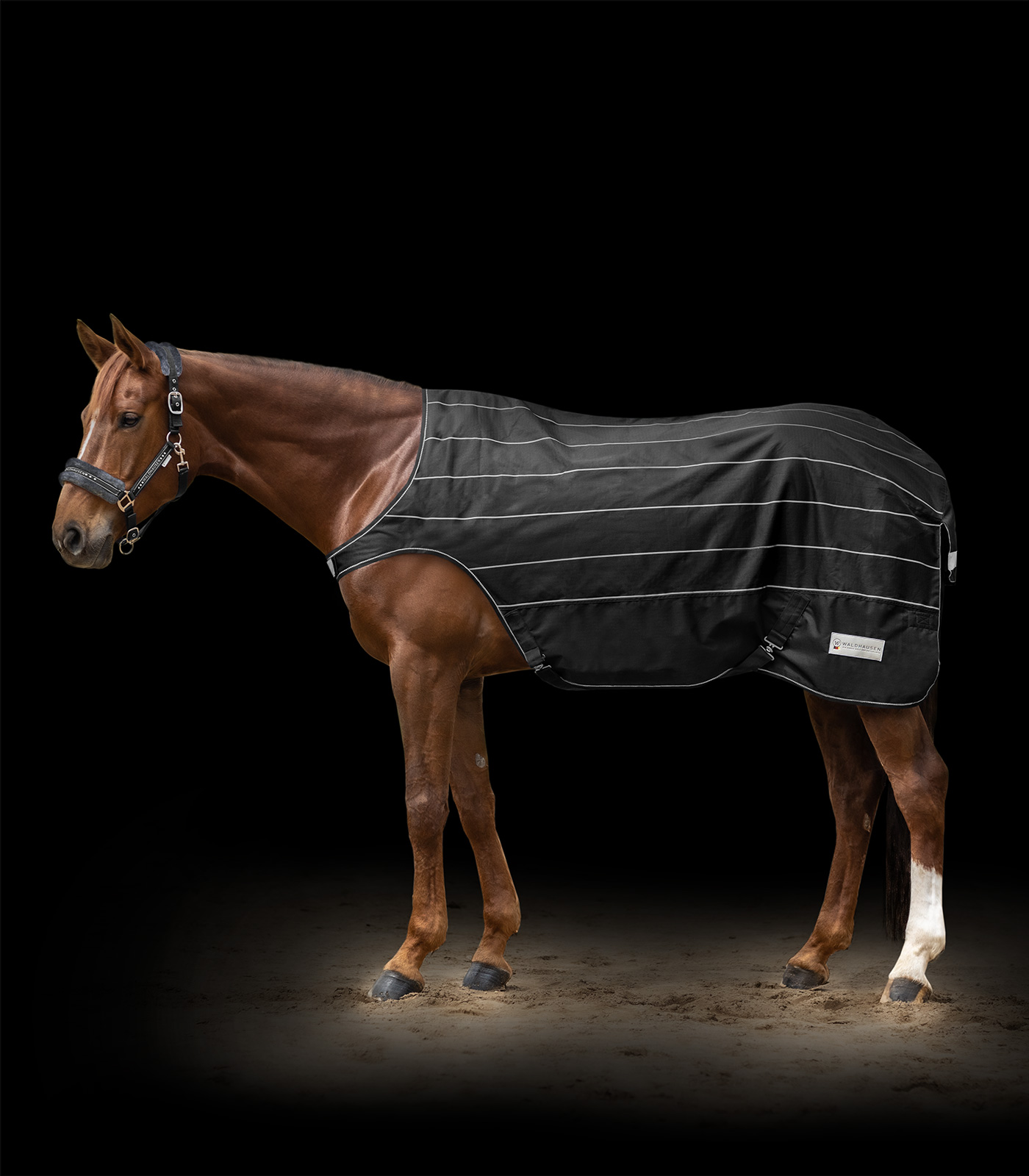 Waldhausen REFLEX Exercise Rug black/silver gray