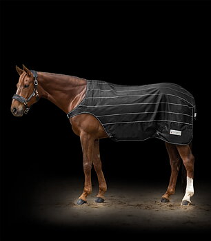 Waldhausen REFLEX Exercise Rug black/silver gray