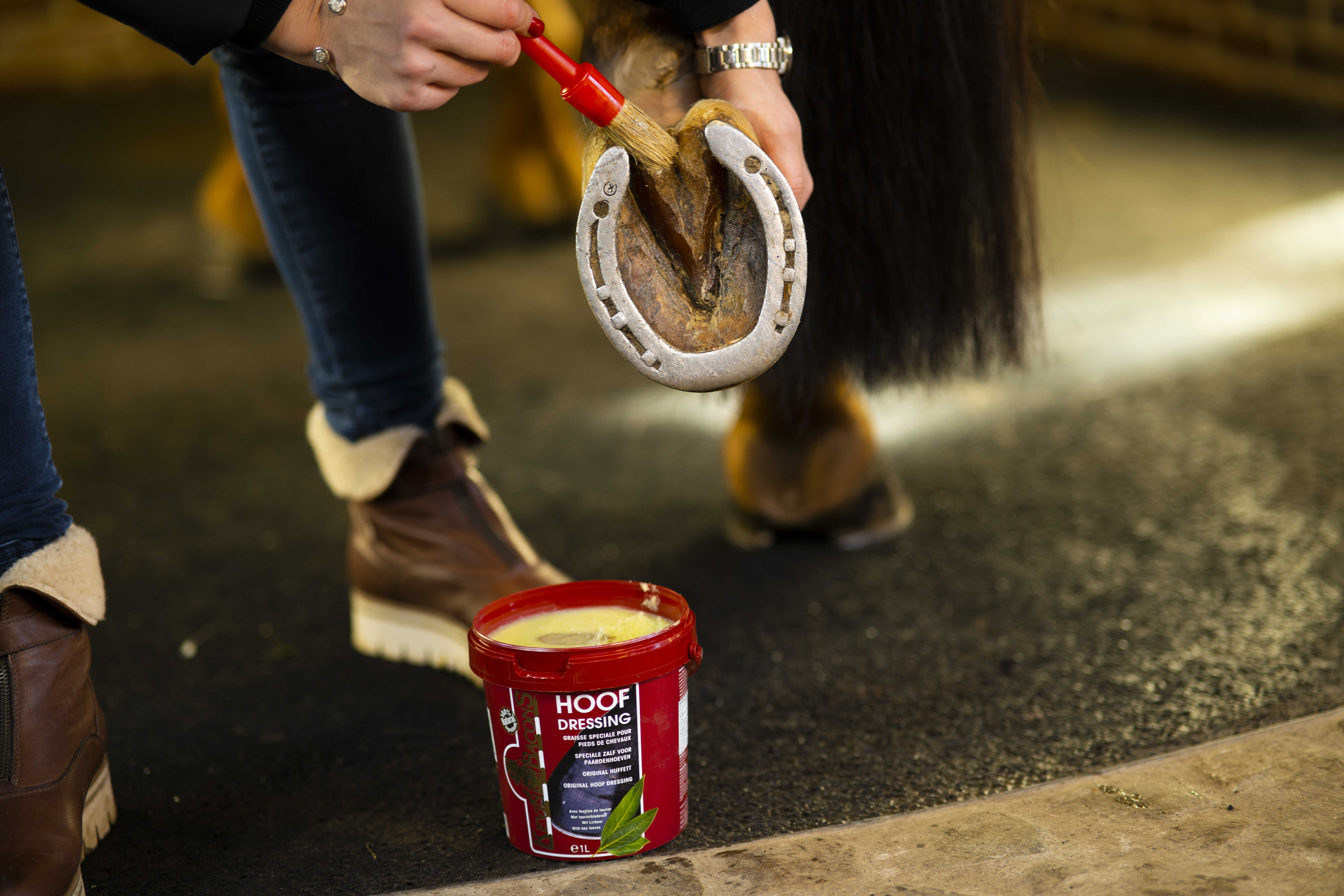Kevin Bacon's Hoof Dressing Winter - 2