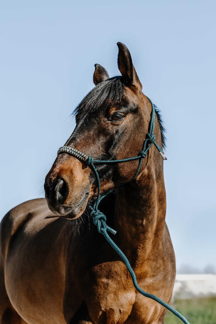 Norton Deco Repgrimma + Ledrep Grön/Beige