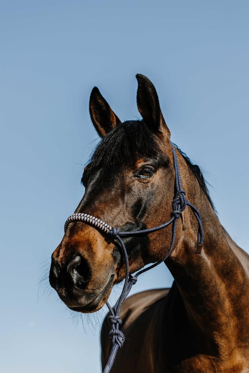 Norton Deco Repgrimma + Ledrep Navy/Beige