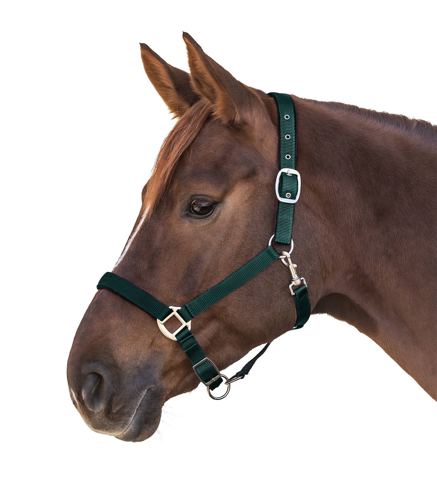 Waldhausen Satin Grimma gran grön (Ponny)