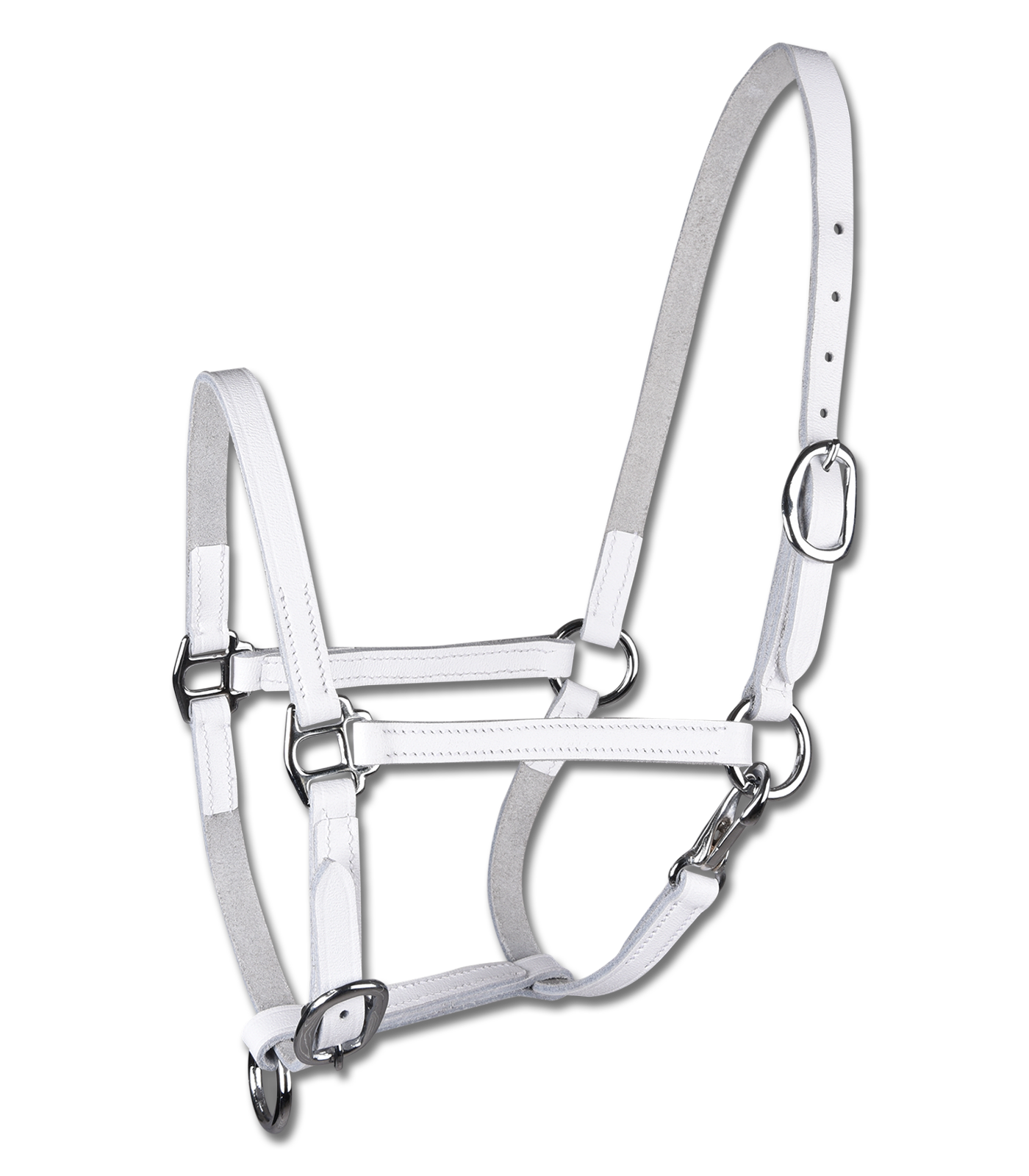 Waldhausen STAR foal show halter, leather white