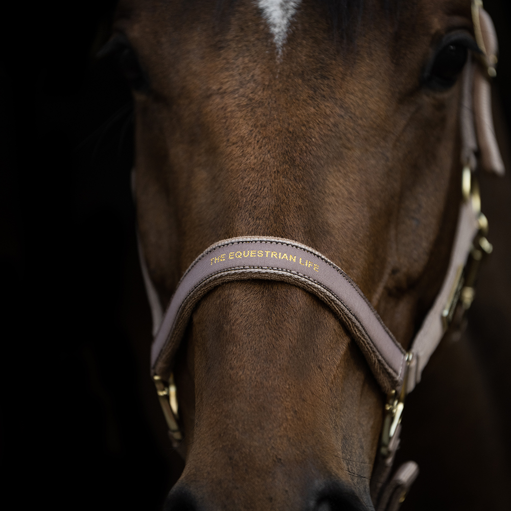 Hansbo Sport Grimma EQUESTRIAN LIFE Taupe - 2