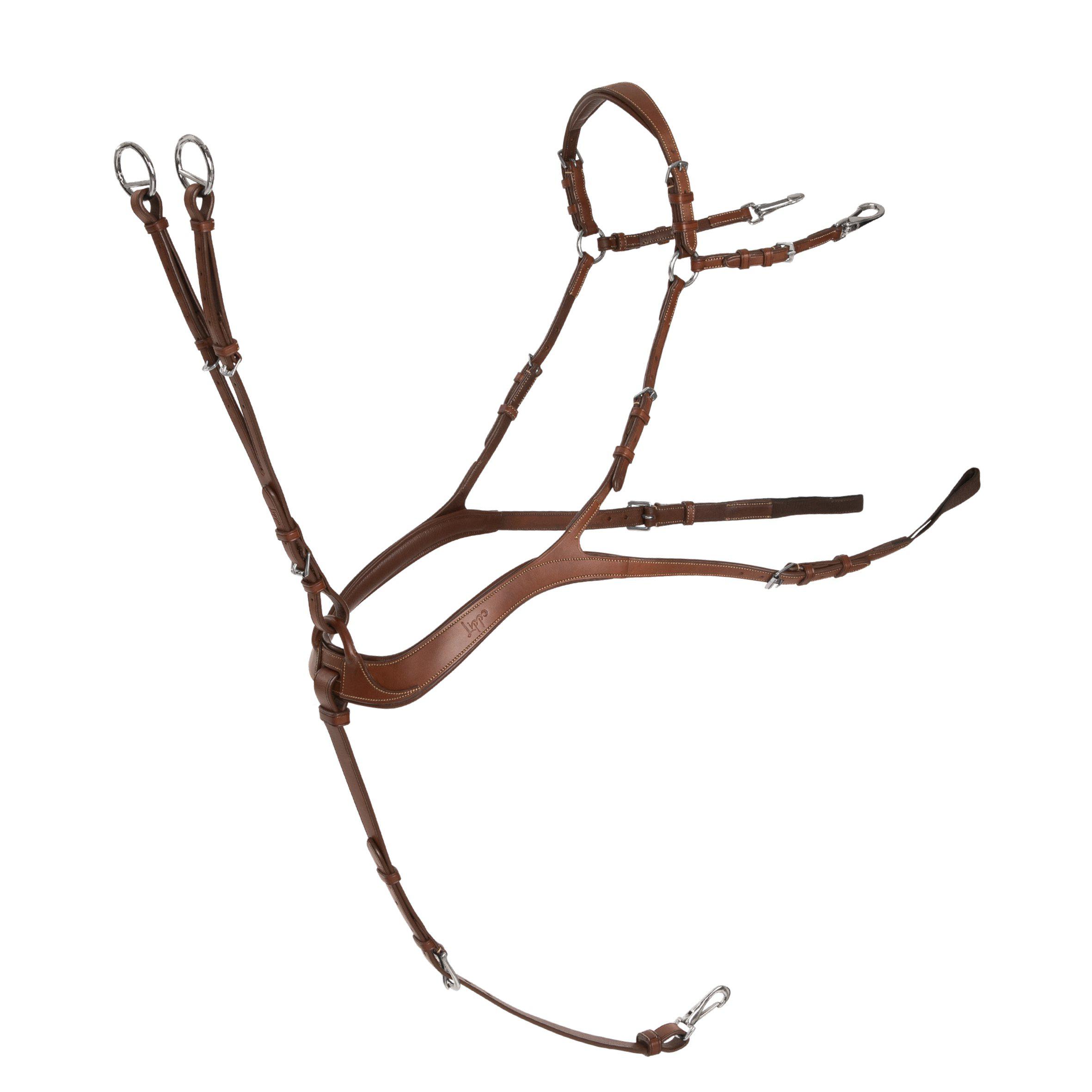 Lippo 5-Point Breastplate - Chocolate - 2