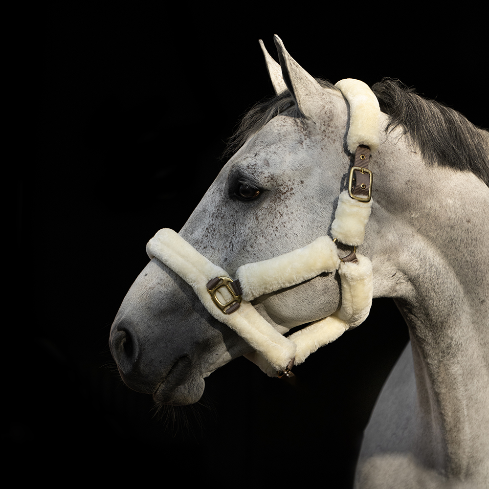 Hansbo Sport Grimma FAUX FUR Taupe (Cob)