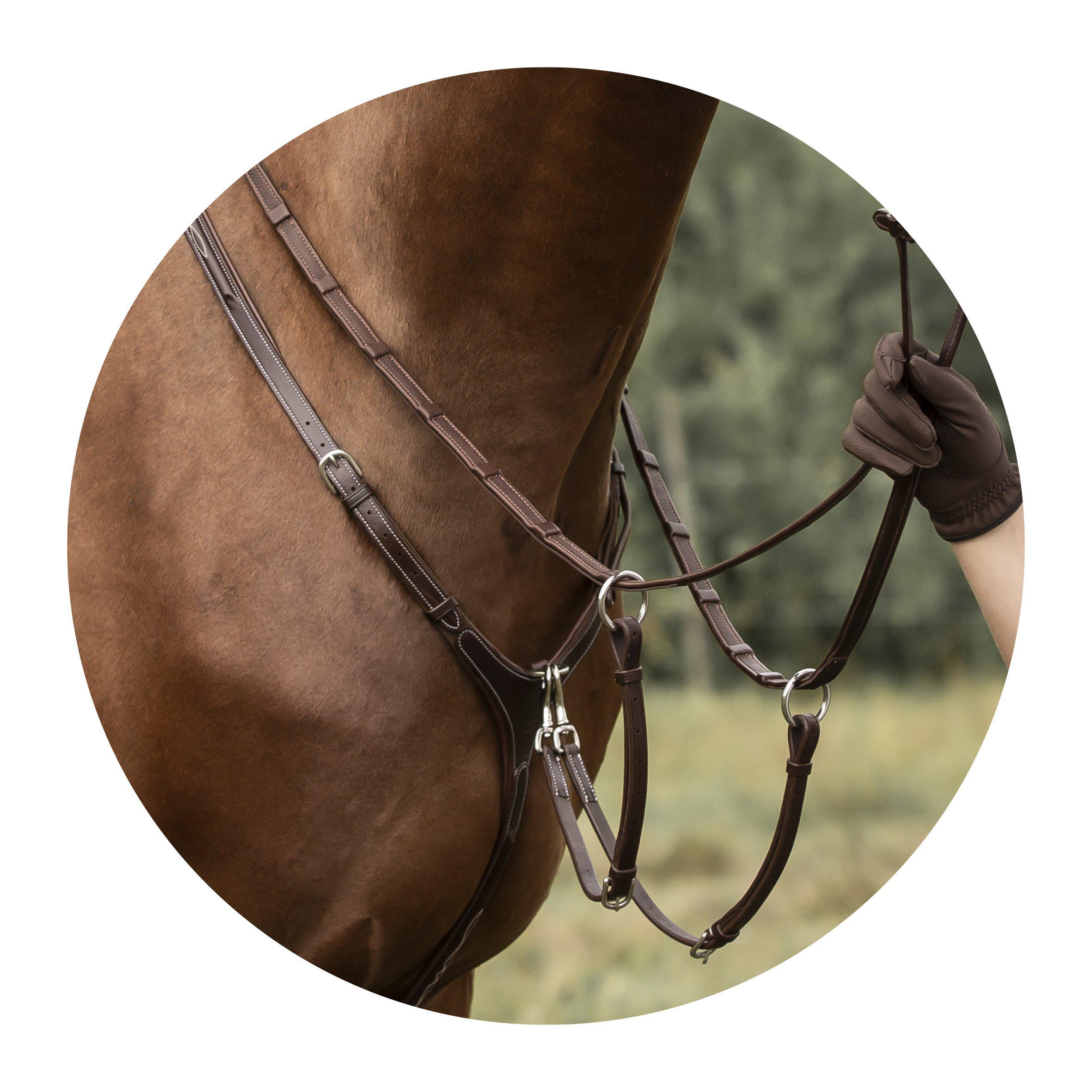 Lippo Fazzino Breastplate With Martingale - Oak Bark - 3