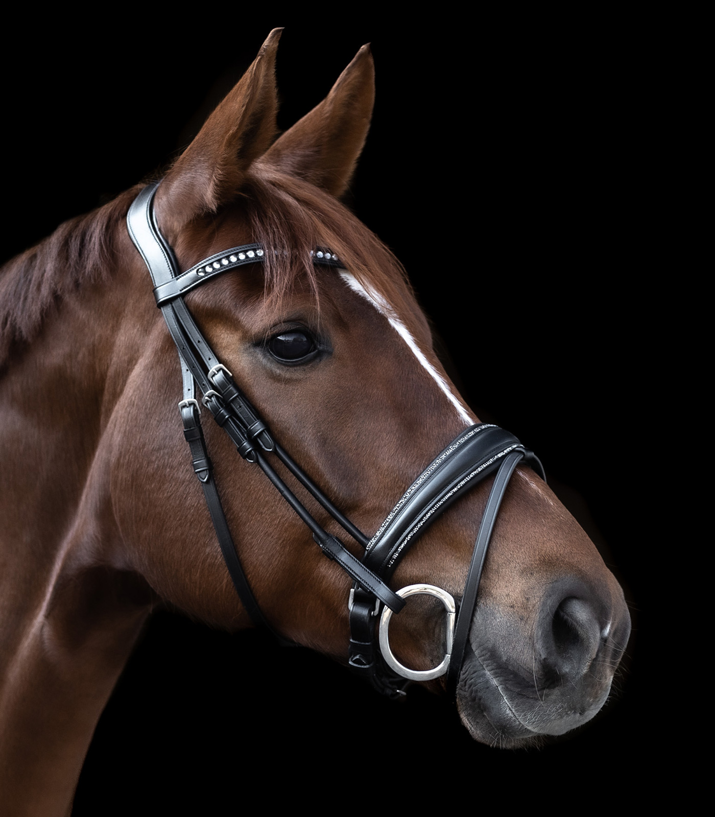 Waldhausen S-Line Snaffle Bridle , Glamour black - 4