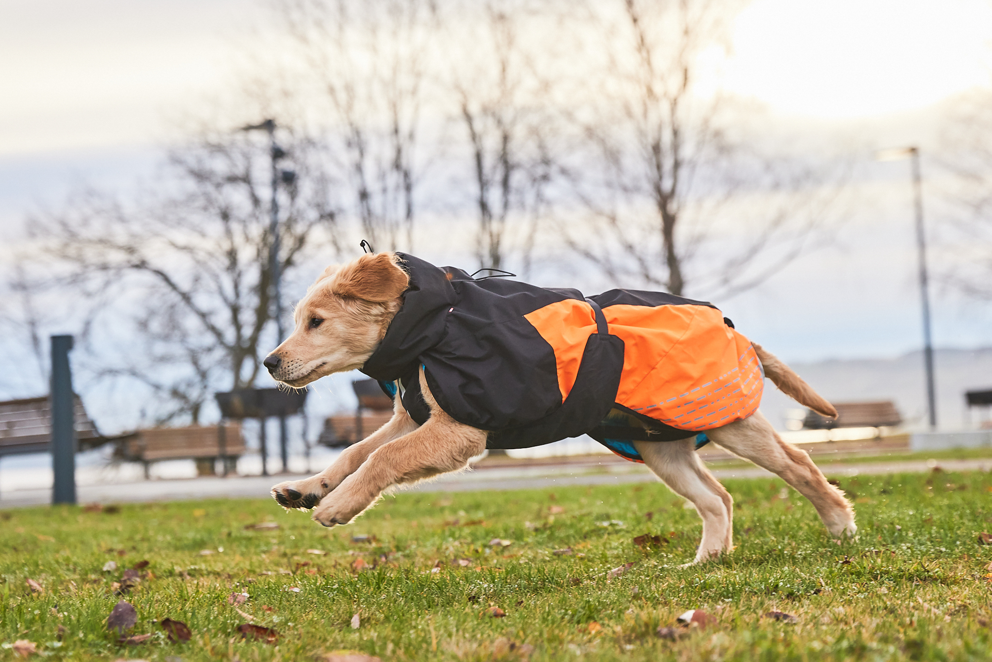 Non-Stop Dogwear Glacier Jacket 2.0 - Black/Orange, 27 - 19