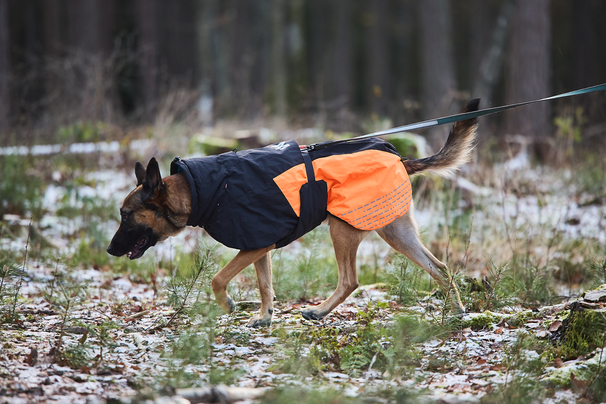 Non-Stop Dogwear Glacier Jacket 2.0 - Black/Orange, 27 - 14