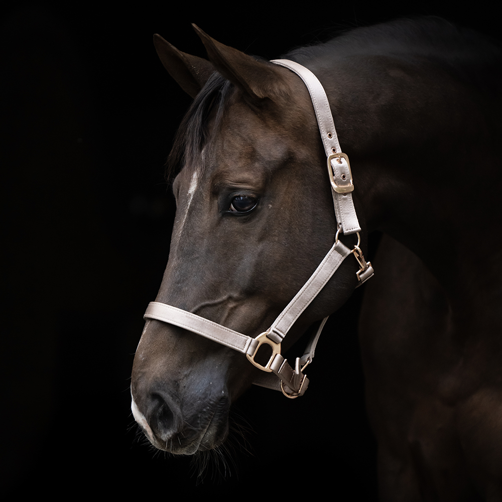 Hansbo Sport Grimma SATIN Neopren Taupe (Cob)