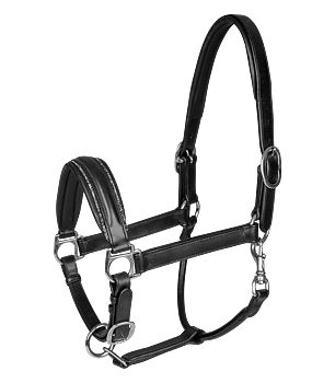Waldhausen Halter S-Line Glamour black