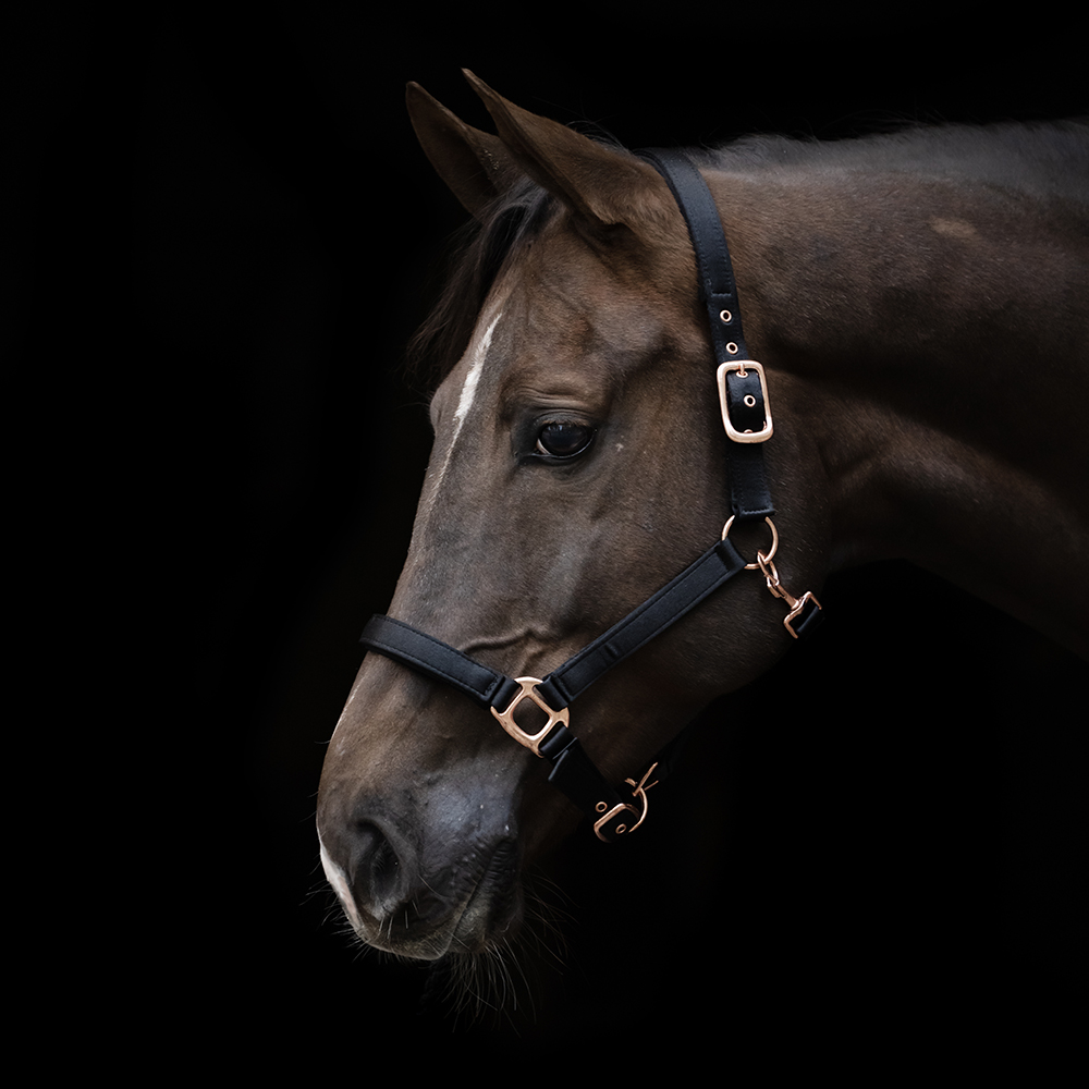 Hansbo Sport Grimma SATIN Neopren Svart (Cob)