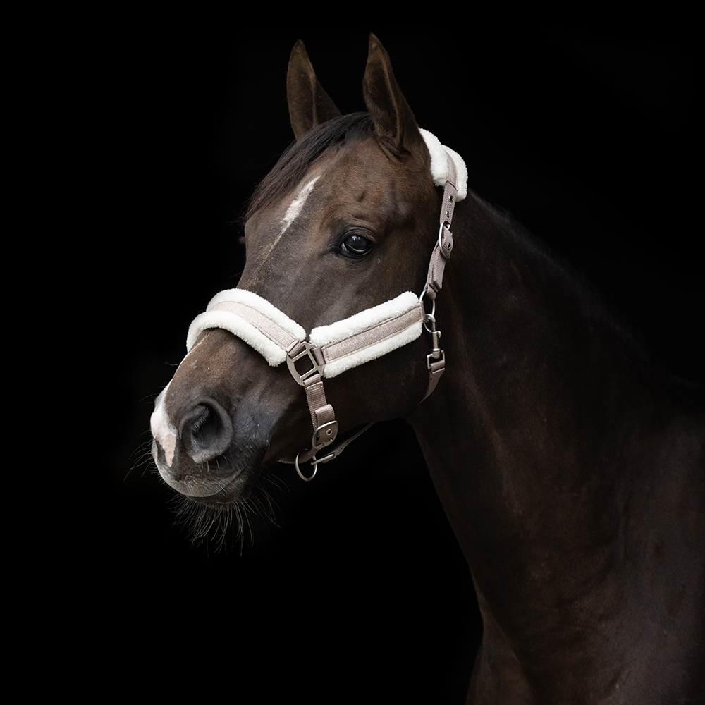 Hansbo Sport Grimma YLVA glitter Guld (Cob)