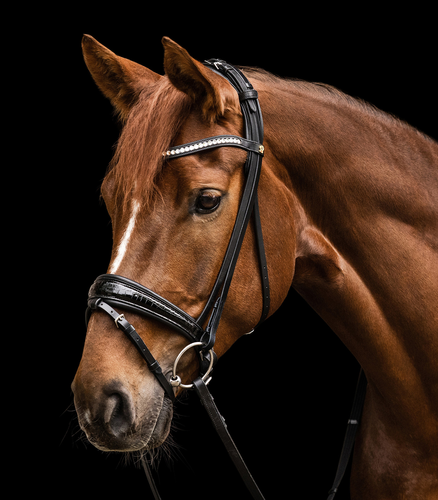 Waldhausen S-Line Magic Bridle black - 4