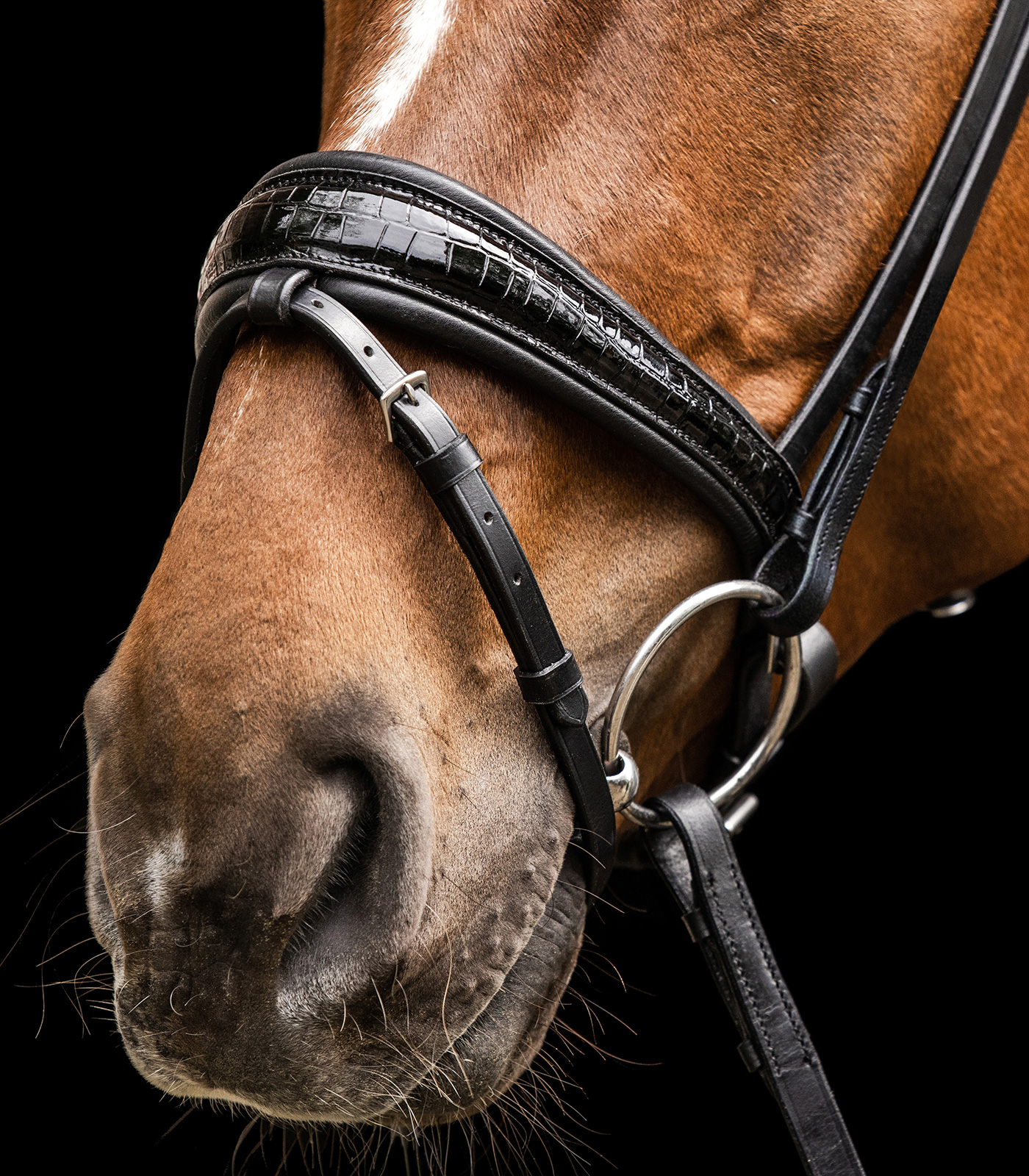 Waldhausen S-Line Magic Bridle black - 5