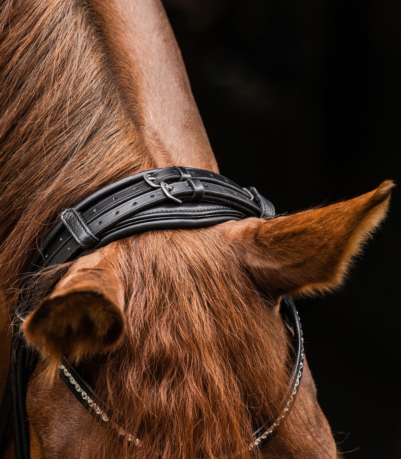 Waldhausen S-Line Magic Bridle black - 6