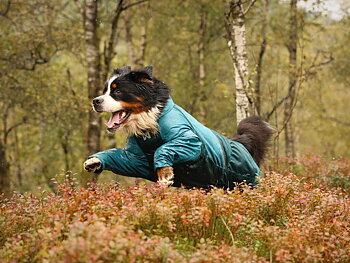 Non-Stop Dogwear Fjord Overall Sadetakki - Teal, 50