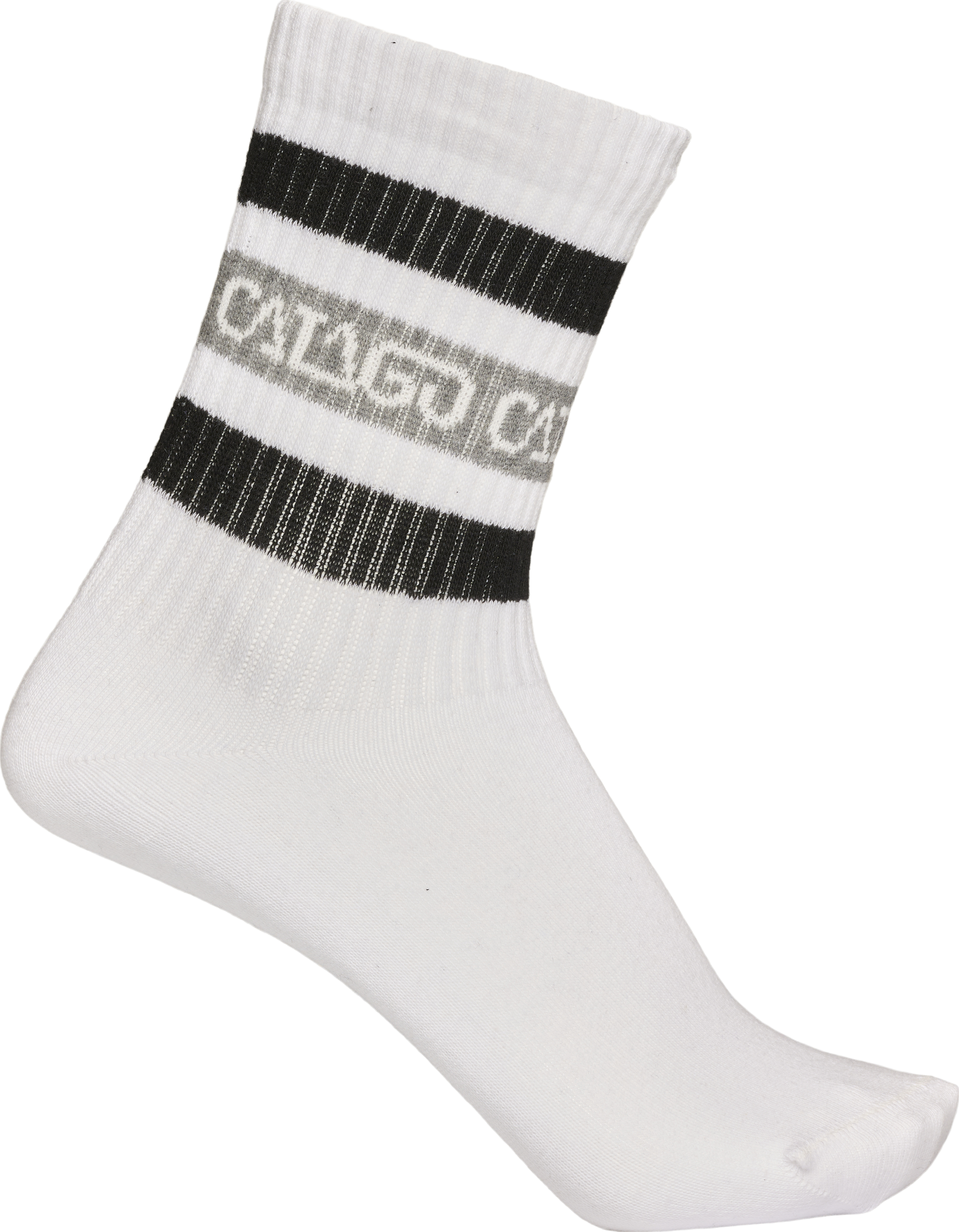CATAGO Polly Logo Mid Length Socks - White (37-40), Catago