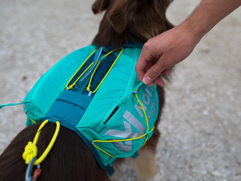 Non-Stop Dogwear Trail Light Backpack for Dogs - Teal, XL - 3