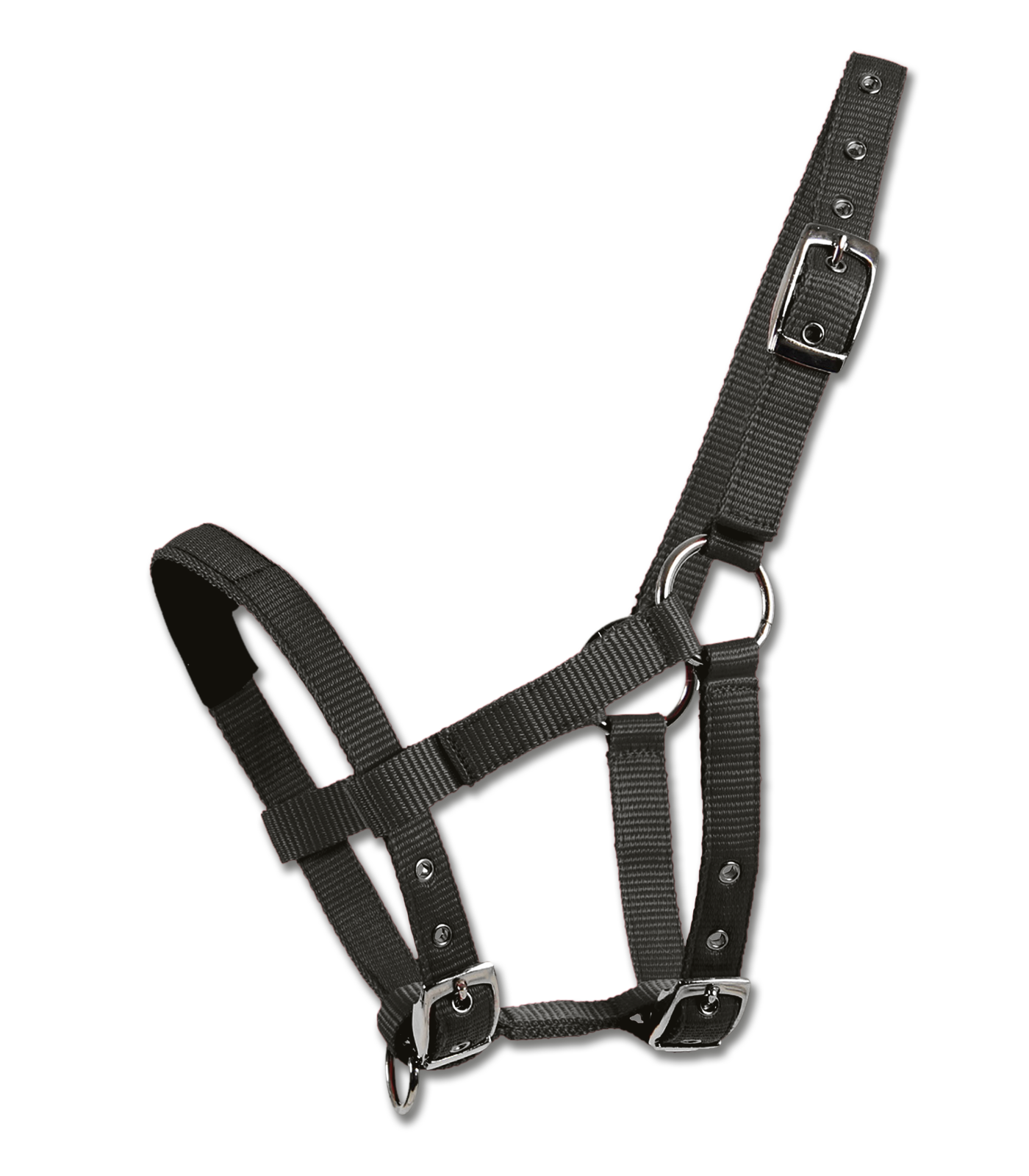 Waldhausen Grimma till Minishettis svart