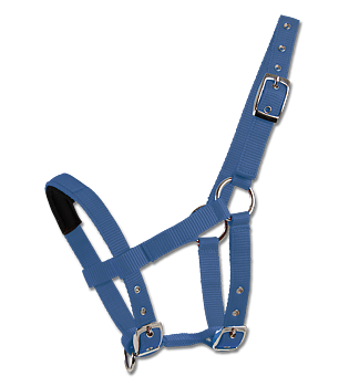 Waldhausen Grimma Till Minishettis Azure Blue