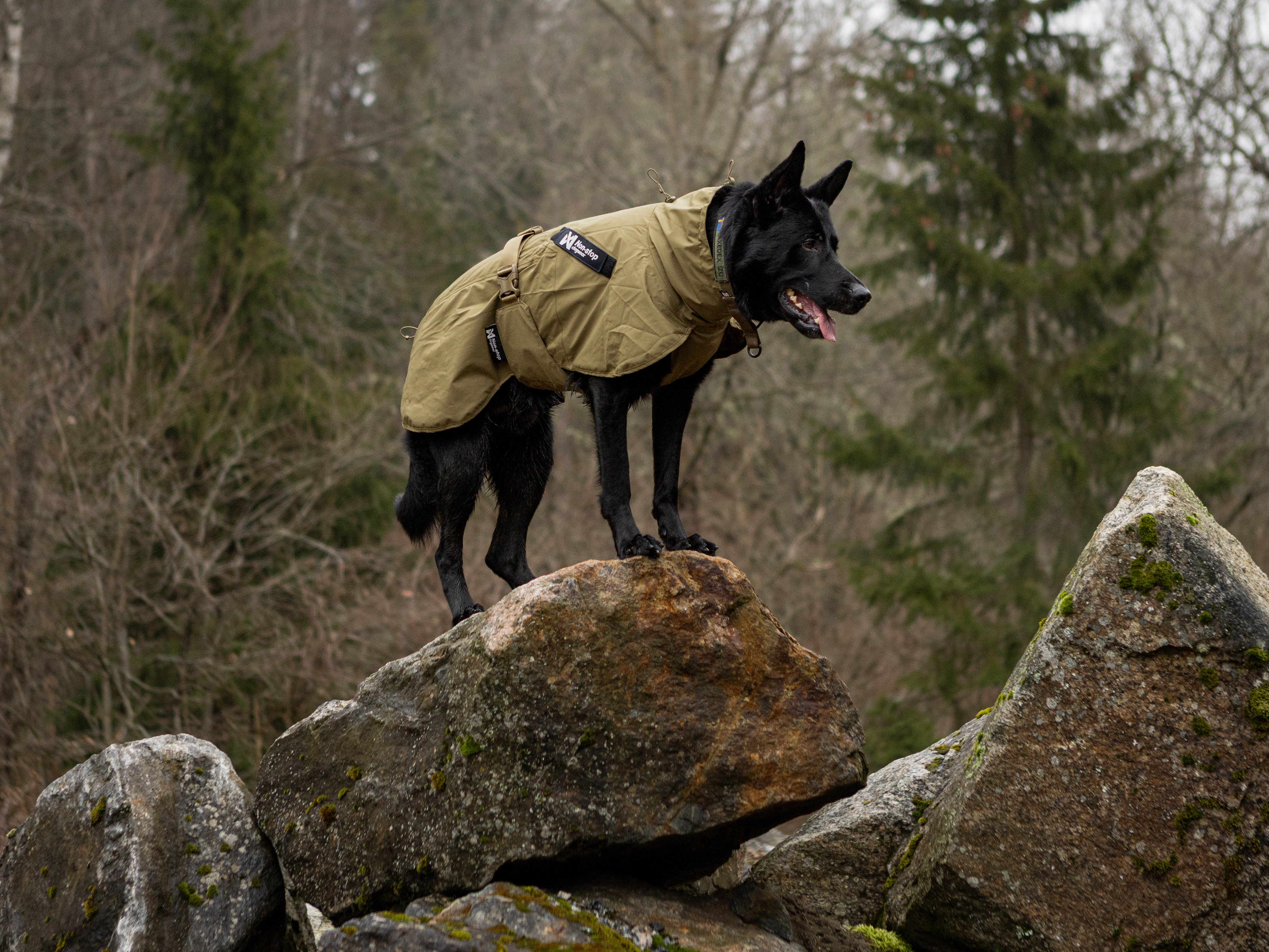 Non-Stop Dogwear Fjord Raincoat WD - Olive, 55 - 3