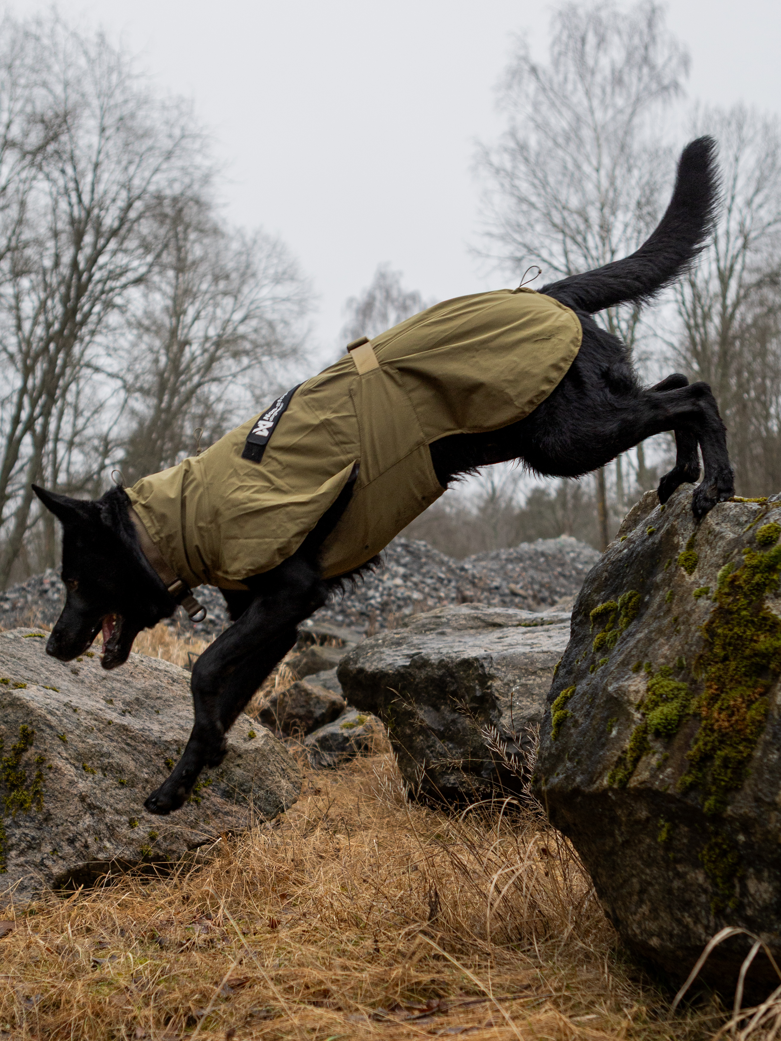 Non-Stop Dogwear Fjord Raincoat WD - Olive, 55 - 2