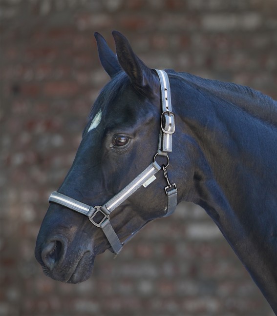 Waldhausen Reflex Stripe Halter (Ponni)