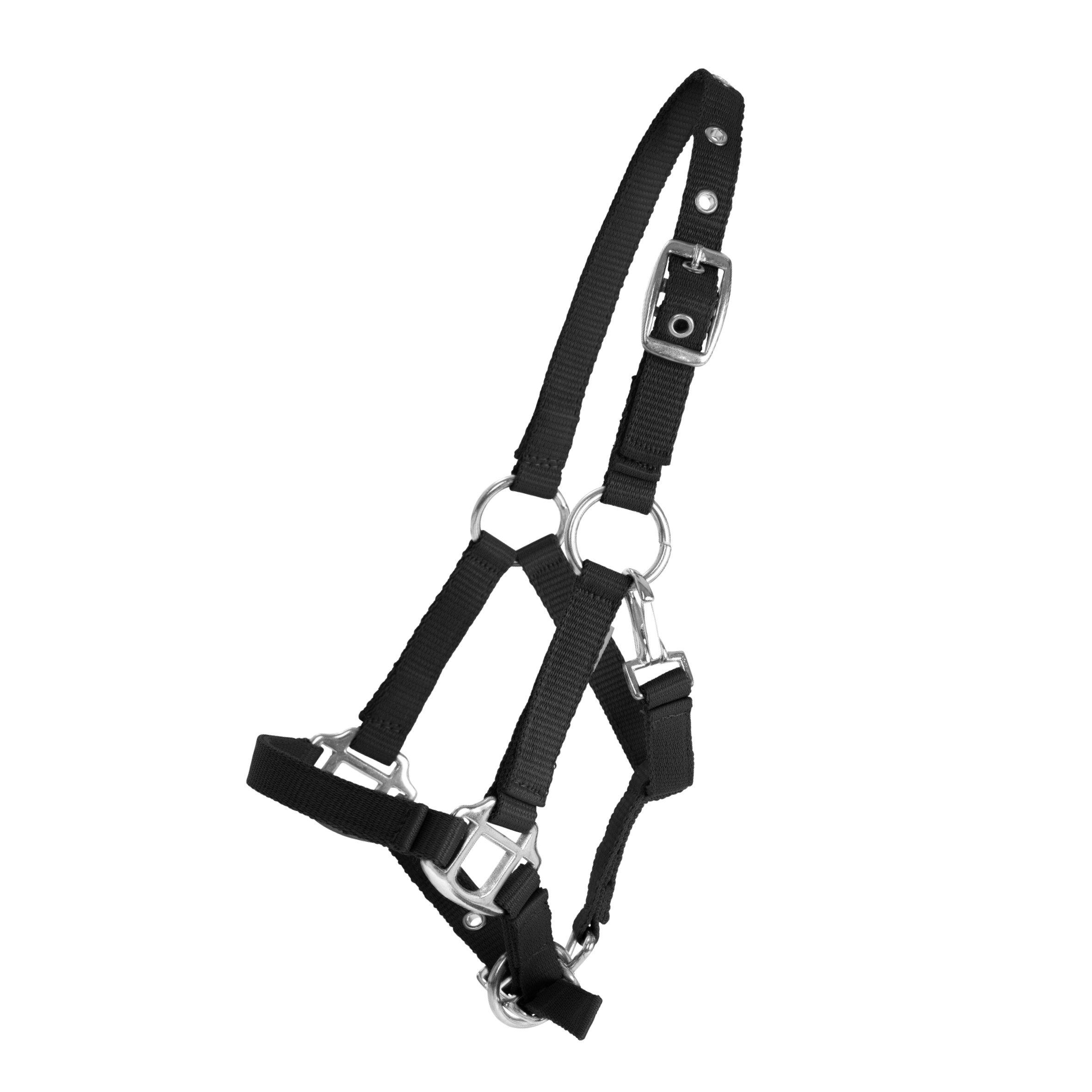 Protector Miniature Grimma - Svart (S)