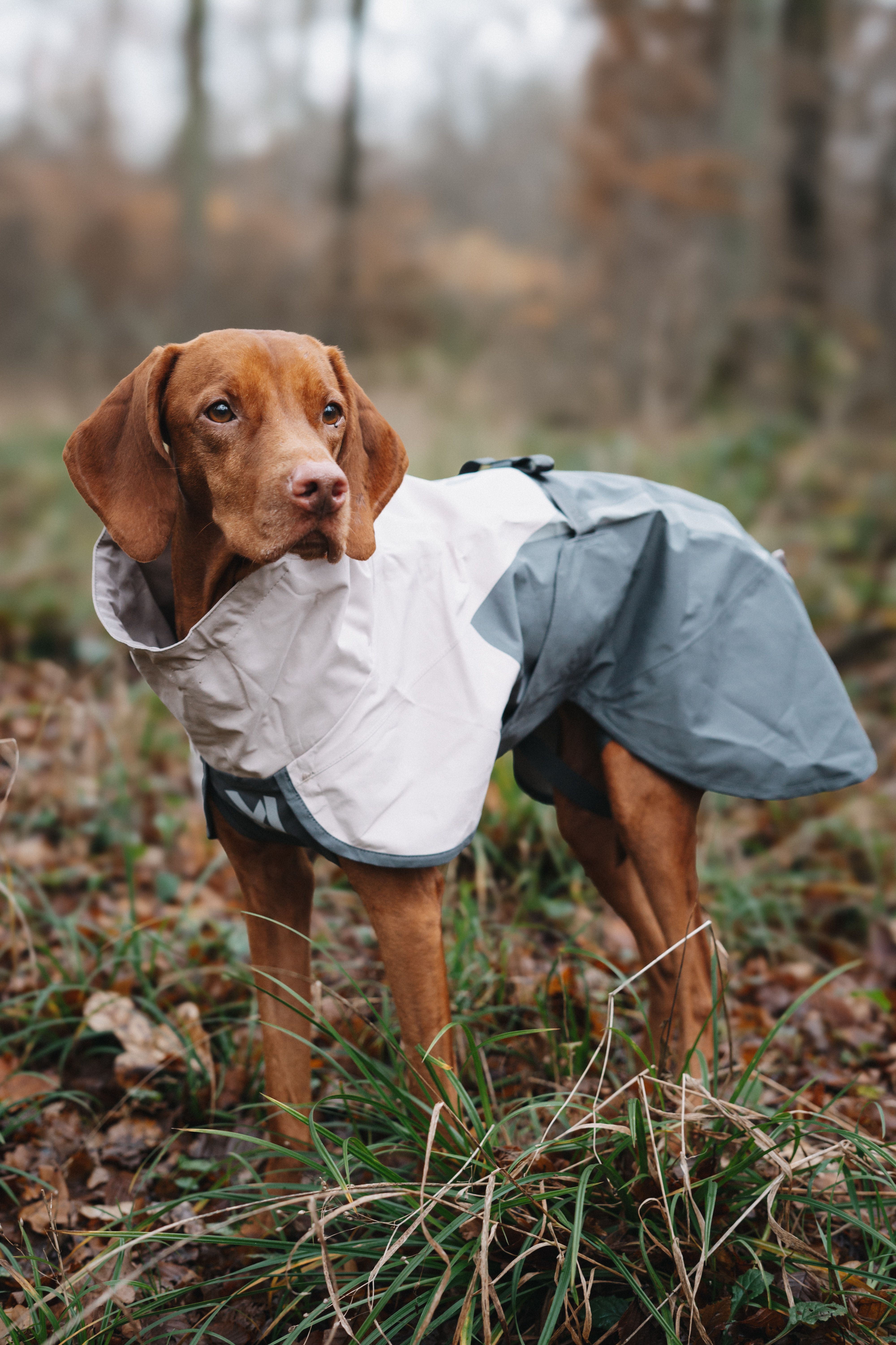 Non-stop Dogwear Fjord Raincoat 2.0 - Grey, 30 - 5