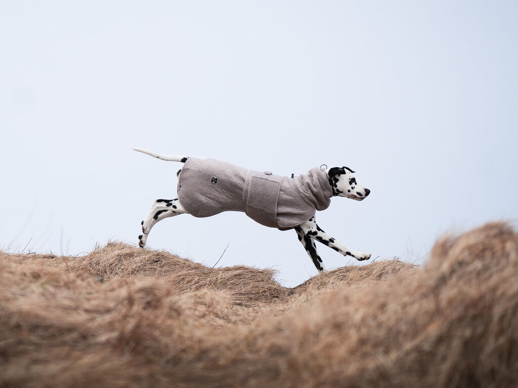 Non-stop Dogwear Drying Coat Kuivausloimi - Sand, 36 - 2