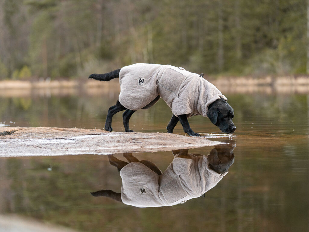Non-stop Dogwear Drying Coat Kuivausloimi - Sand, 36 - 9