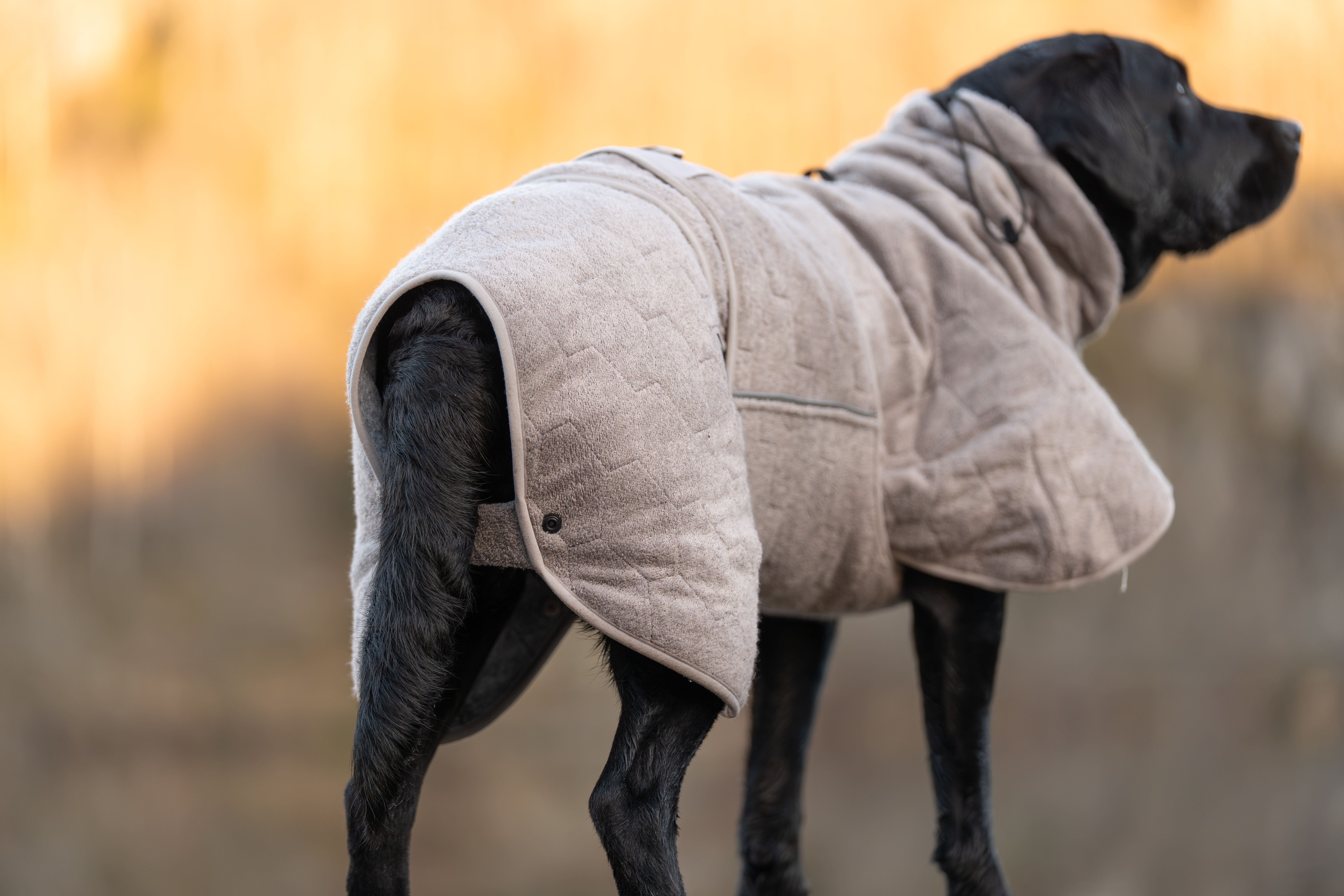 Non-stop Dogwear Drying Coat Kuivausloimi - Sand, 36 - 4