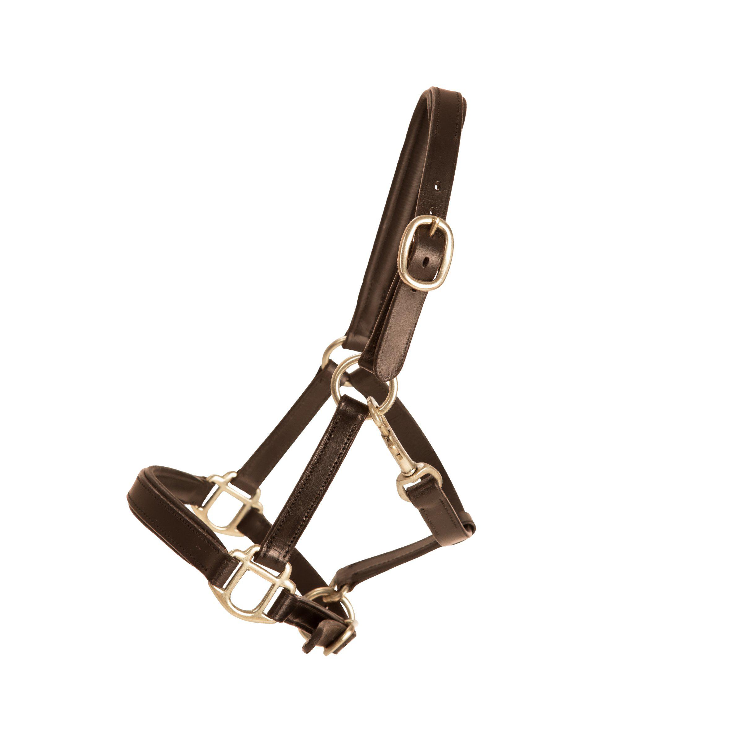 Lippo Miniature Leather Halter - Brown - 2