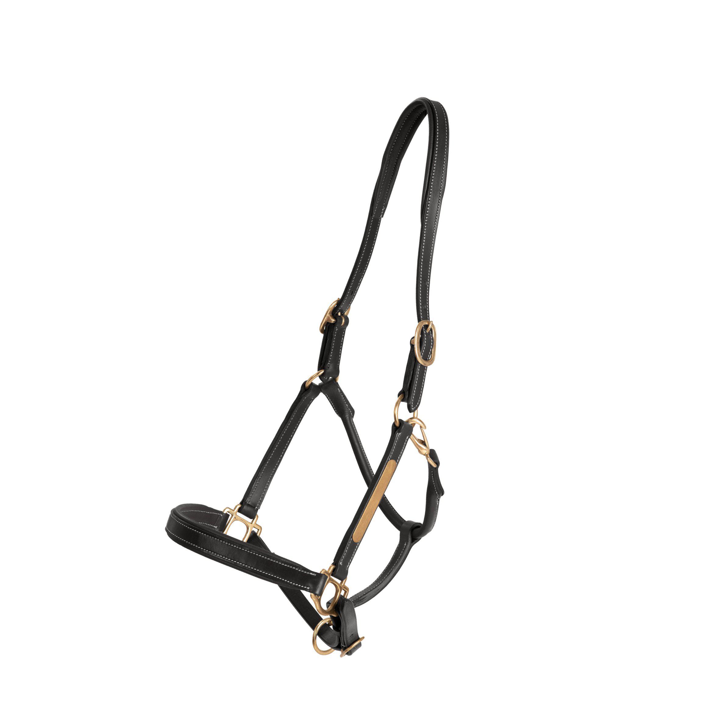 Lippo Lädergrimma Mässing - Svart (Ponny)